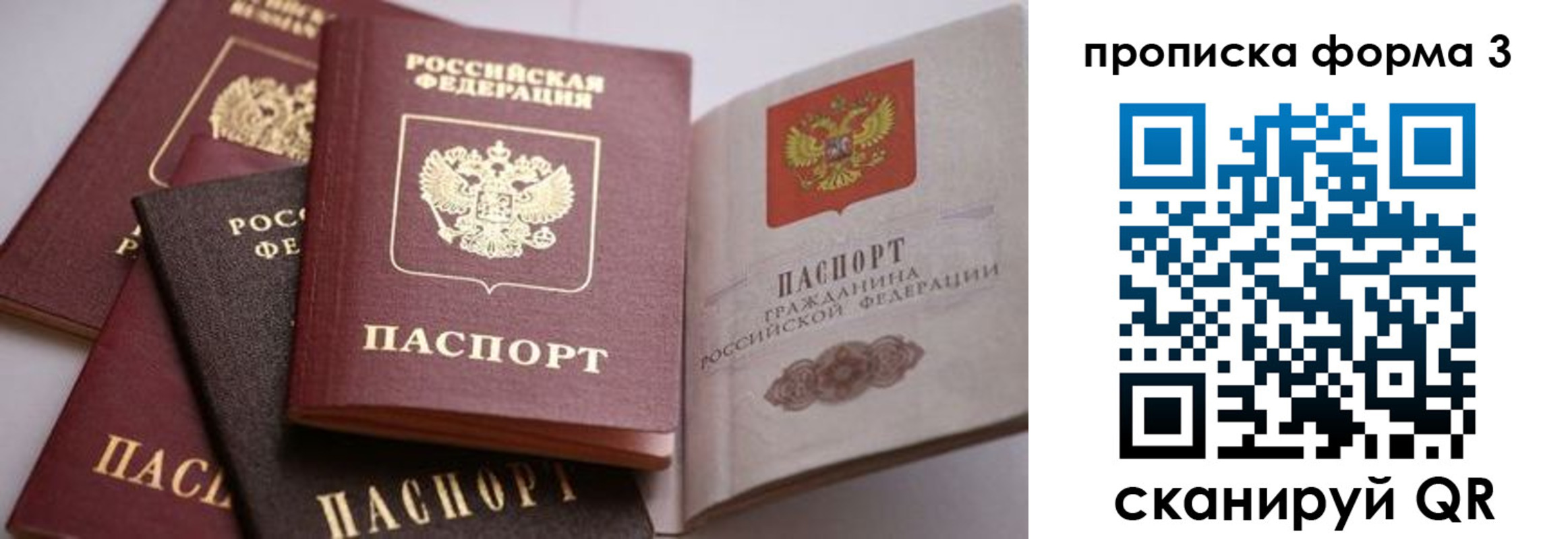 прописка для школы в Яранске